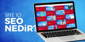 Seo Nedir ?